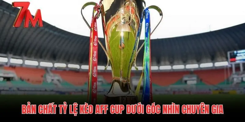Đặc thù tỷ lệ kèo AFF Cup và cục diện bóng đá